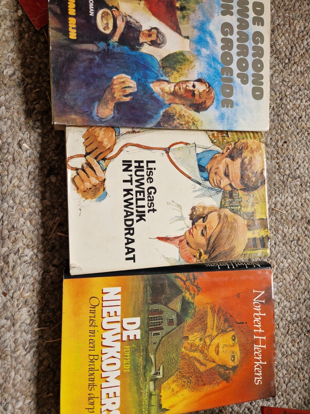 3 Streekromans: Lise Gast, Norbert Heerkens, Eric van Rijn, Ophalen of Verzenden, Gelezen, Lise Gast, Norbert Heerkens, Eric van Rijn