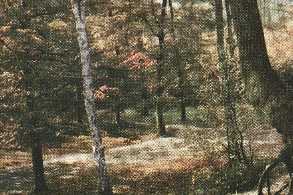 947134 Veluwe Poststempel Ermelo 1958 Gelopen met Postzegel, Ophalen of Verzenden, 1940 tot 1960, Gelopen, Gelderland