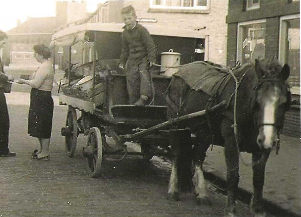 Vervoer-Bereoepen-Foto- TVH-55 - Repro-Groenteboer, Verzenden, 1980 tot heden, Foto, Nieuw