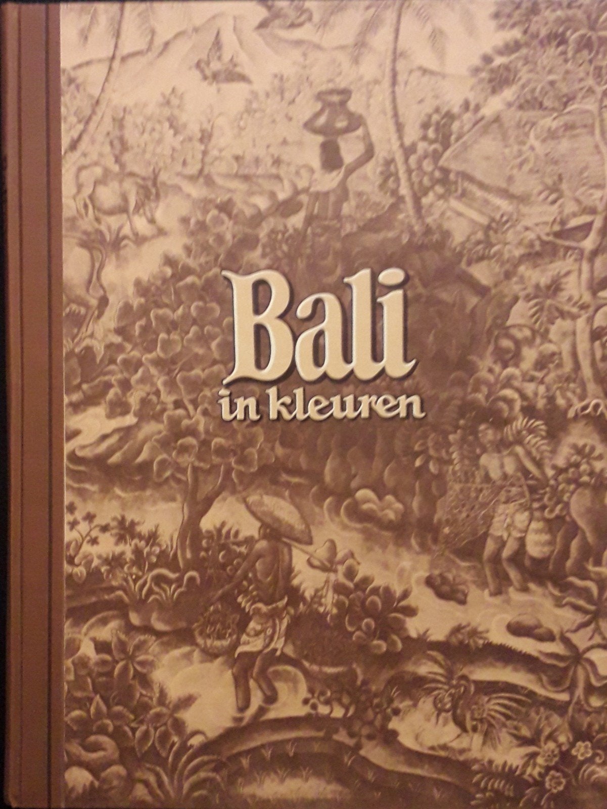 Bali in kleuren door Piet Bakker 1951, Ophalen of Verzenden, Gelezen