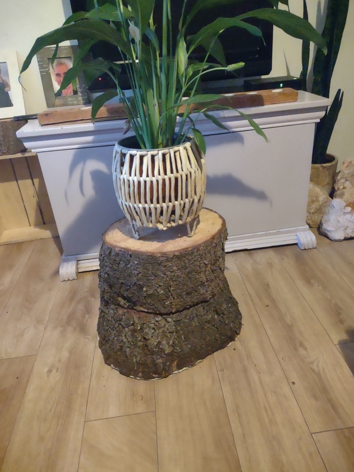 Decoratieve boomstronk / bijzettafel, Huis en Inrichting, Ophalen, Gebruikt, Hout
