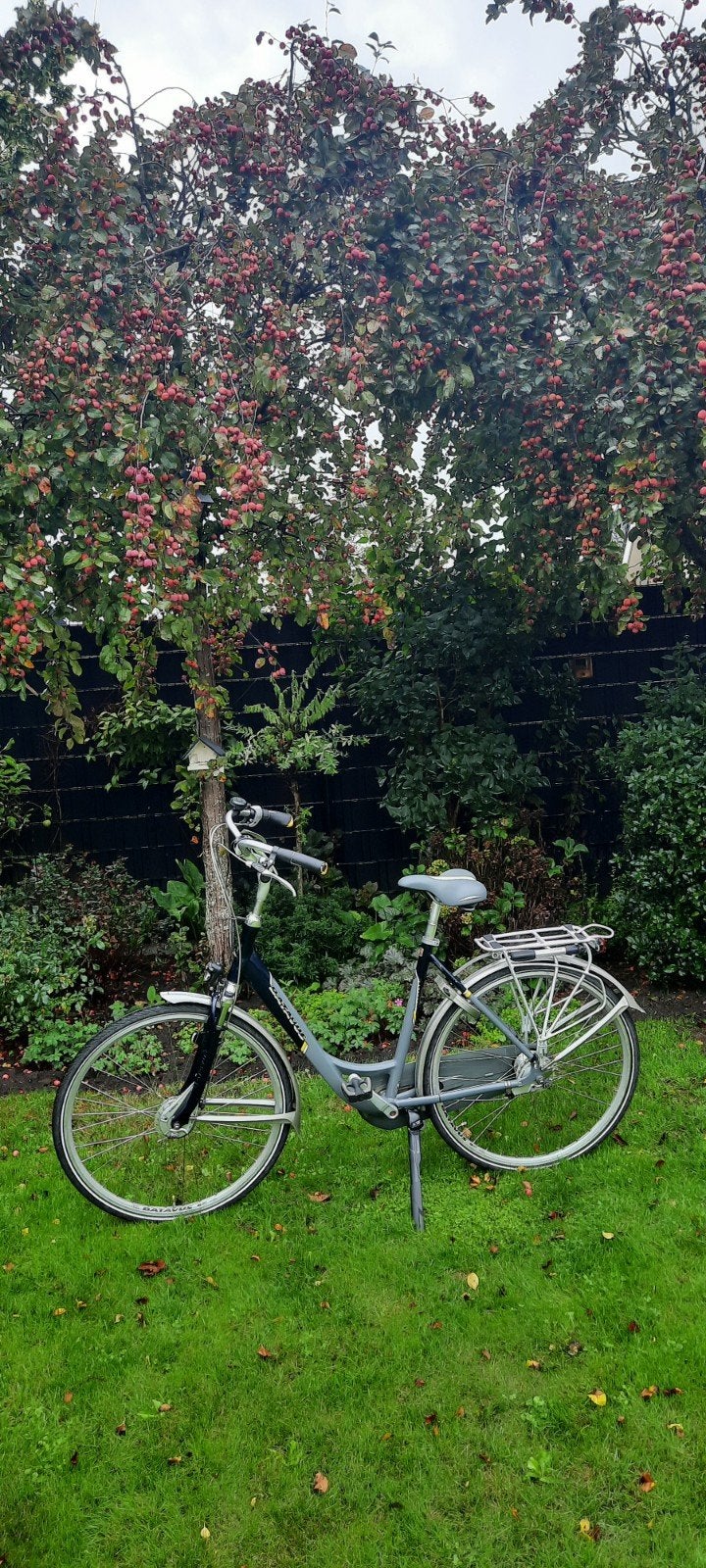 Batavus Intermezzo Deluxe damesfiets., Fietsen en Brommers, Ophalen, Versnellingen, Batavus, 0 zitjes
