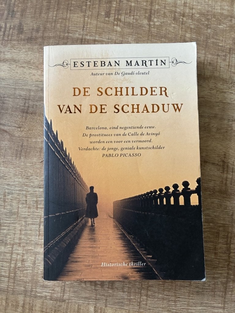 De Schilder van de Schaduw - Esteban Martín, Ophalen of Verzenden, Gelezen