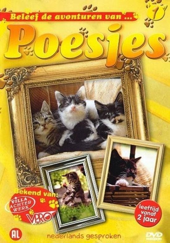 Poesjes - Villa achterwerk, Verzenden, Alle leeftijden, Nederlands, Zo goed als nieuw