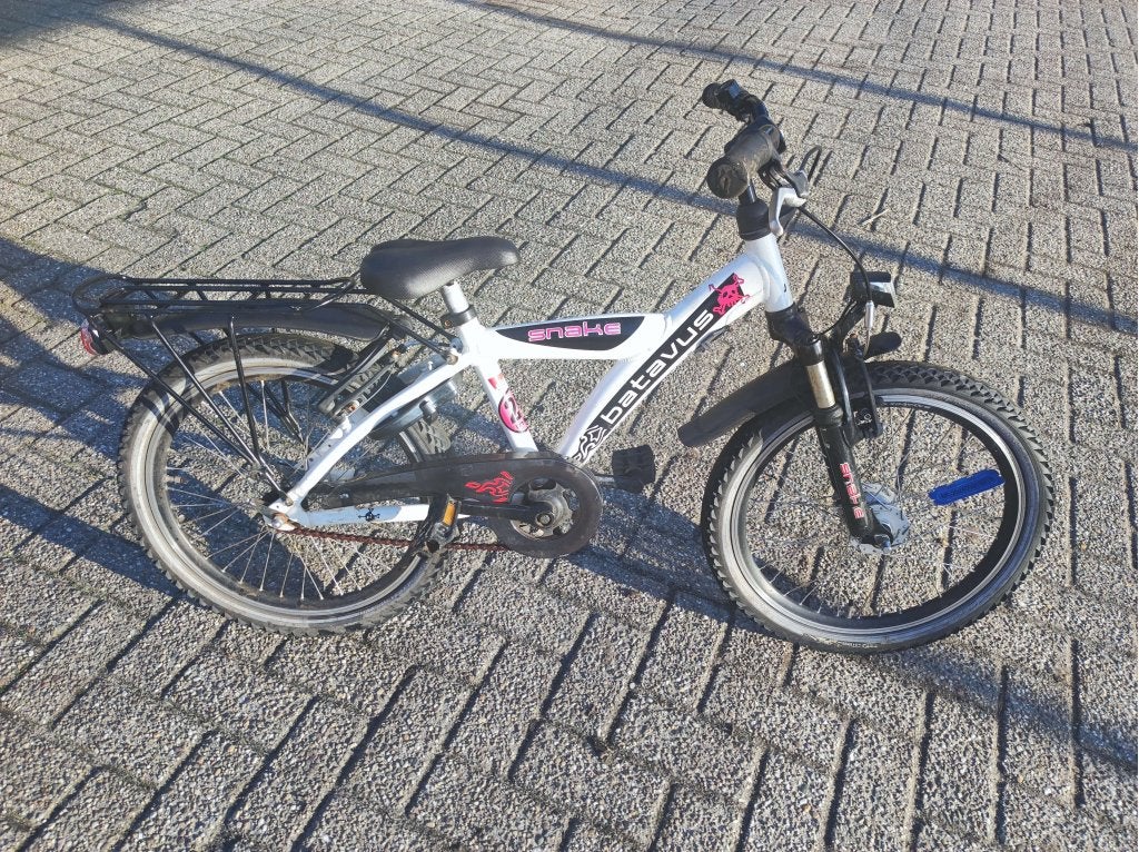 Batavus Snake jongens 20 inch, Gebruikt, 20 inch, Niet ingevuld, Ophalen