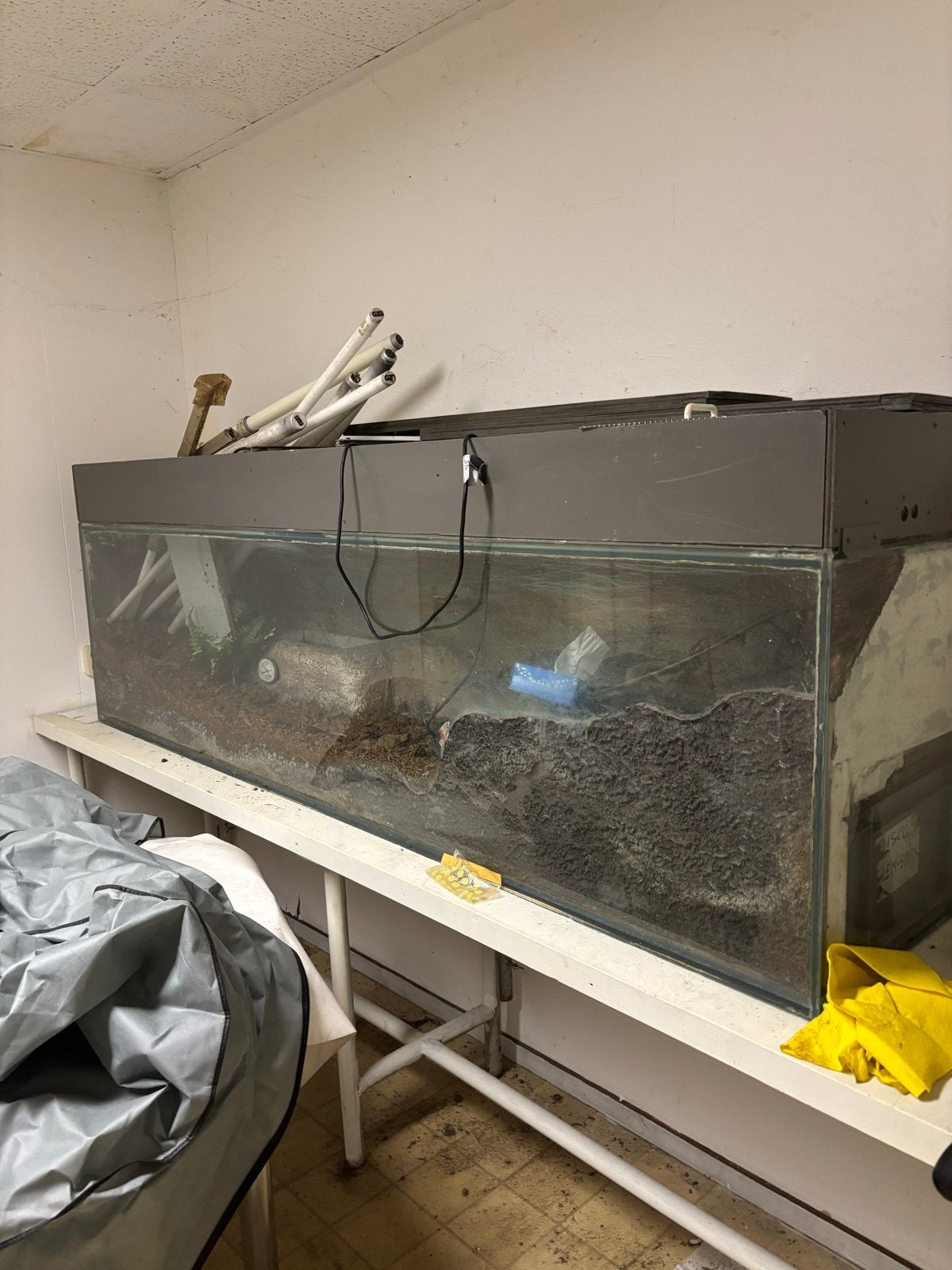 Gratis afhalen terrarium, Dieren en Toebehoren, Ophalen
