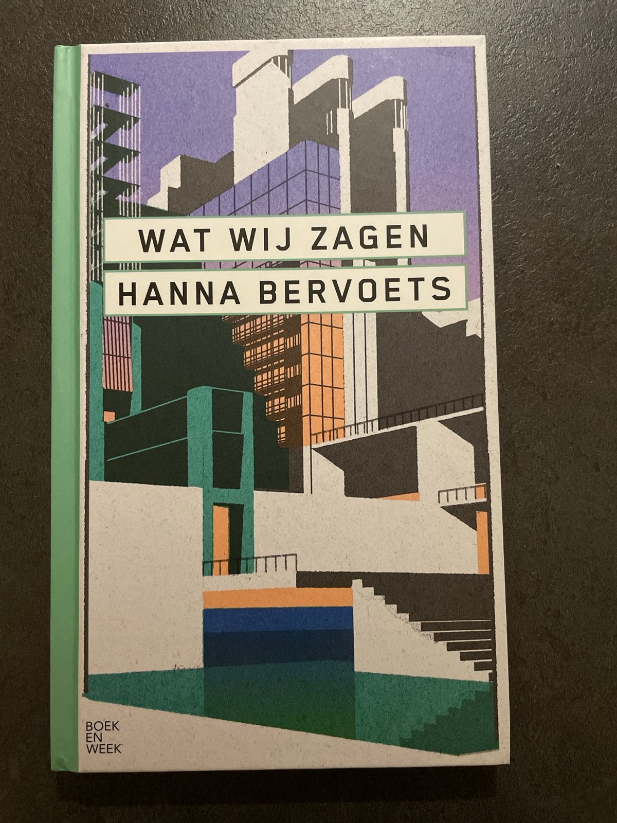 Wat Wij Zagen - Hanna Bervoets (Boek van de Week), Boeken, Ophalen of Verzenden, Zo goed als nieuw, Nederland