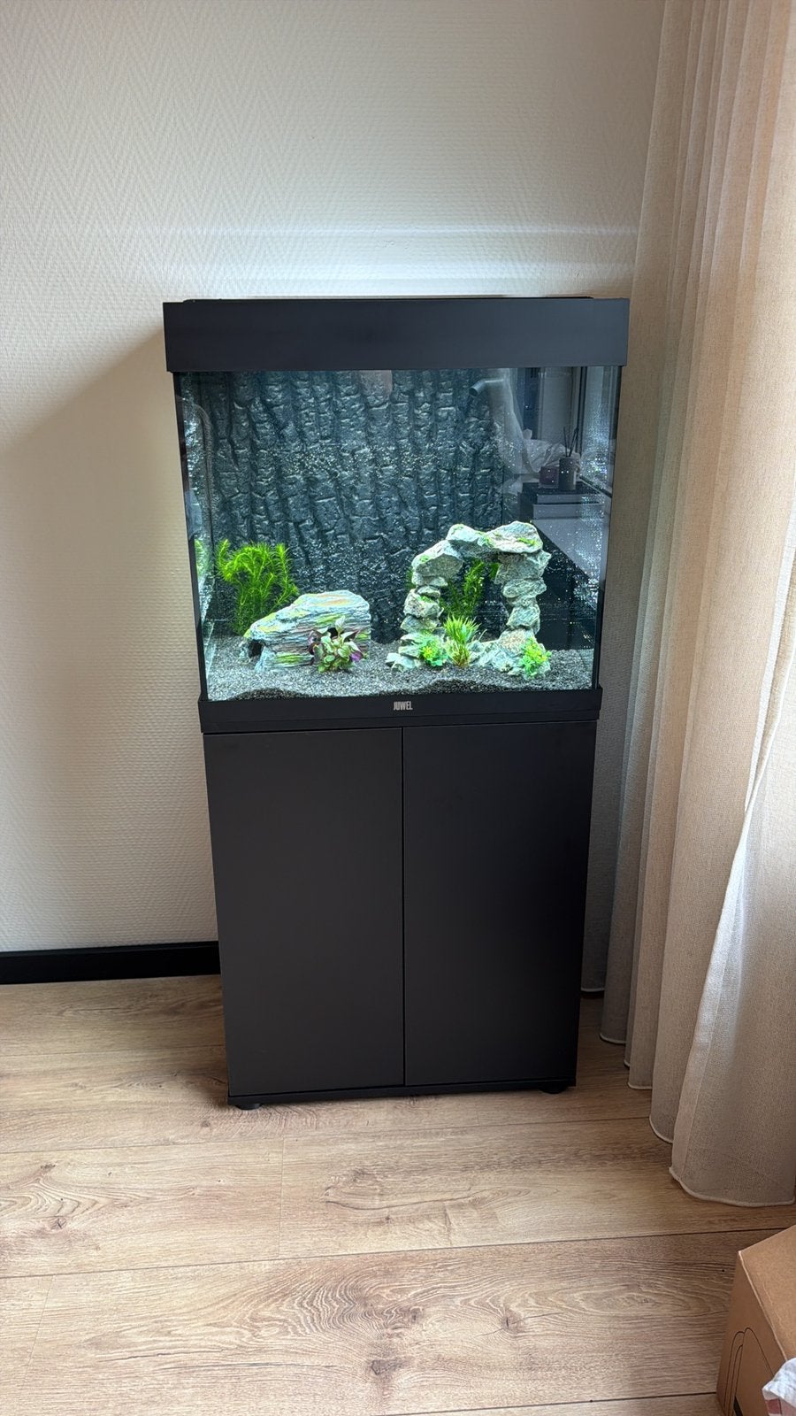 Aquarium Juwel Lido, Ophalen, Nieuw, Gevuld zoetwateraquarium, Inclusief vissen