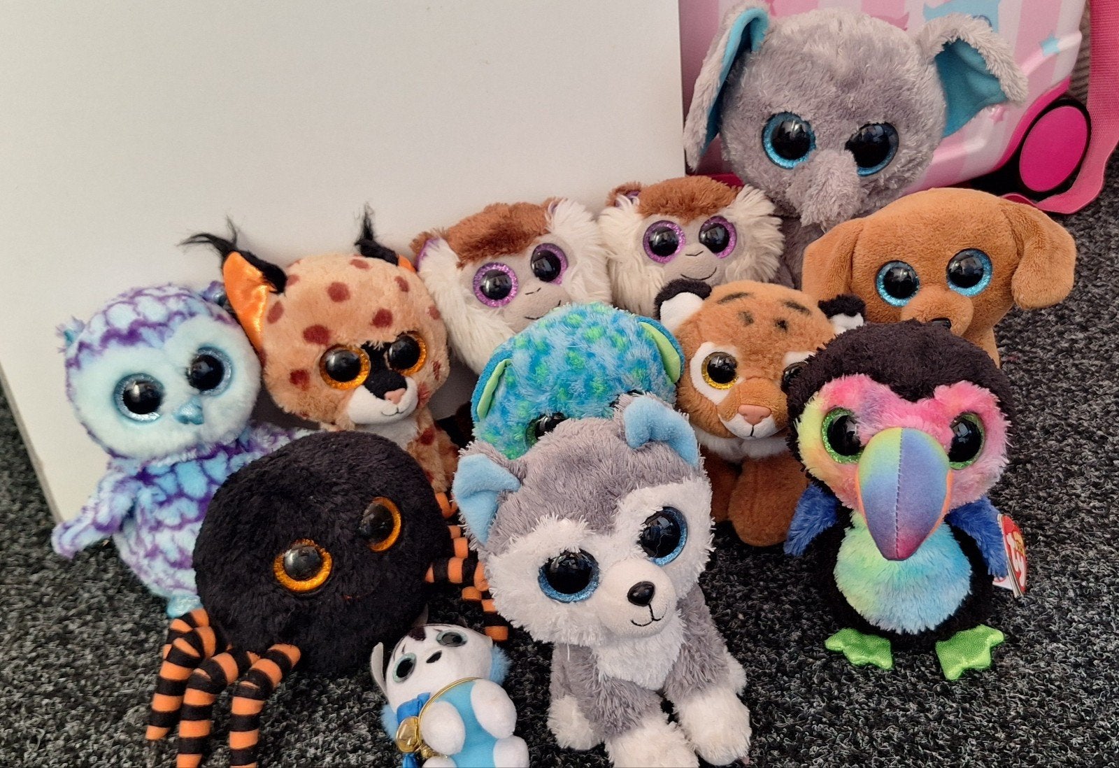 12 ty beanie knuffels, Ophalen, Zo goed als nieuw, Overige typen