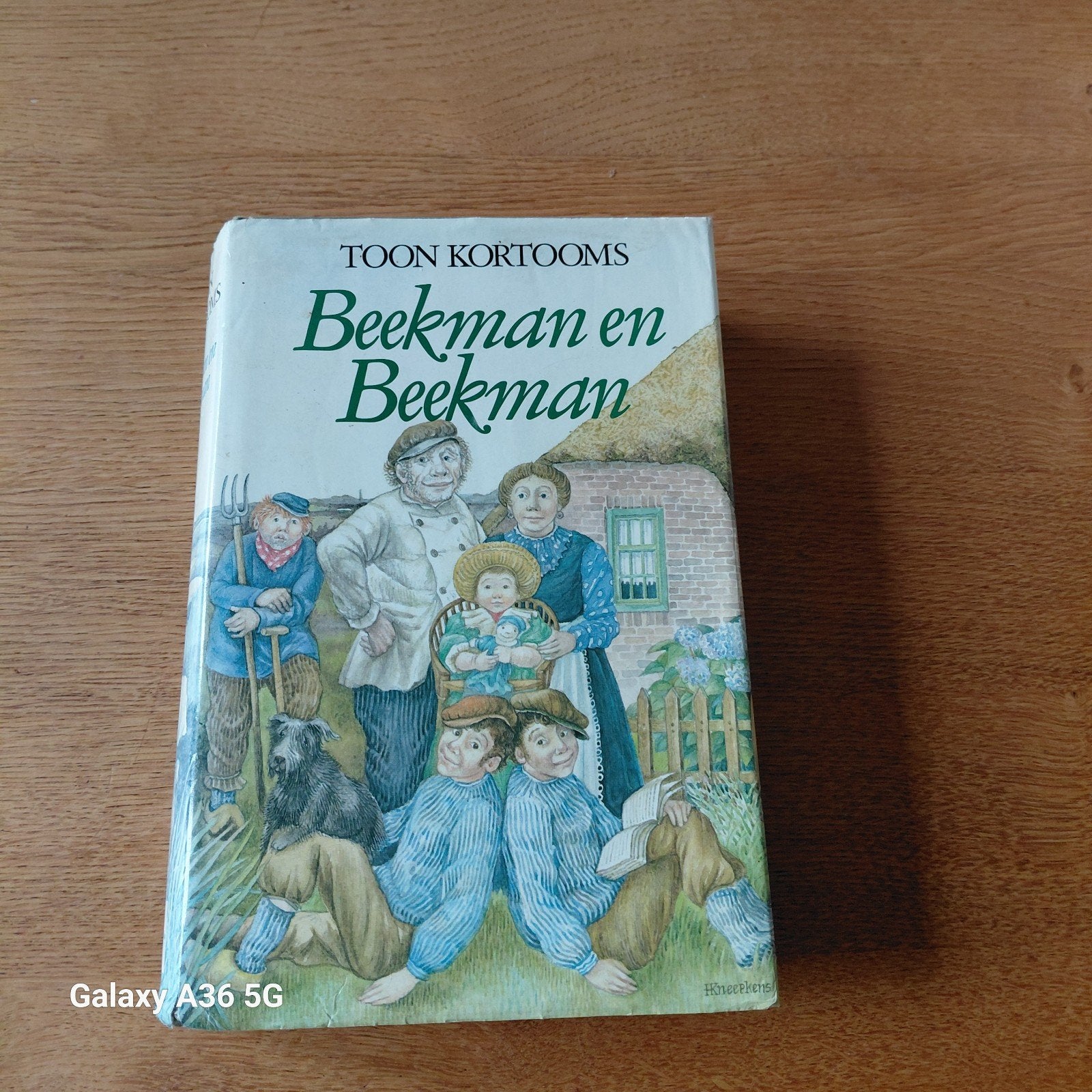 Beekman en Beekman - Toon Kortooms (Boek), Ophalen of Verzenden, Gelezen, Toon Kortooms, Nederland