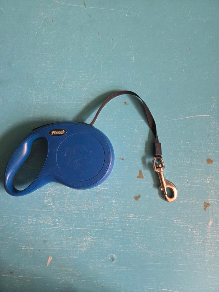 flexi tape, Ophalen of Verzenden, Gebruikt, Hondenriem