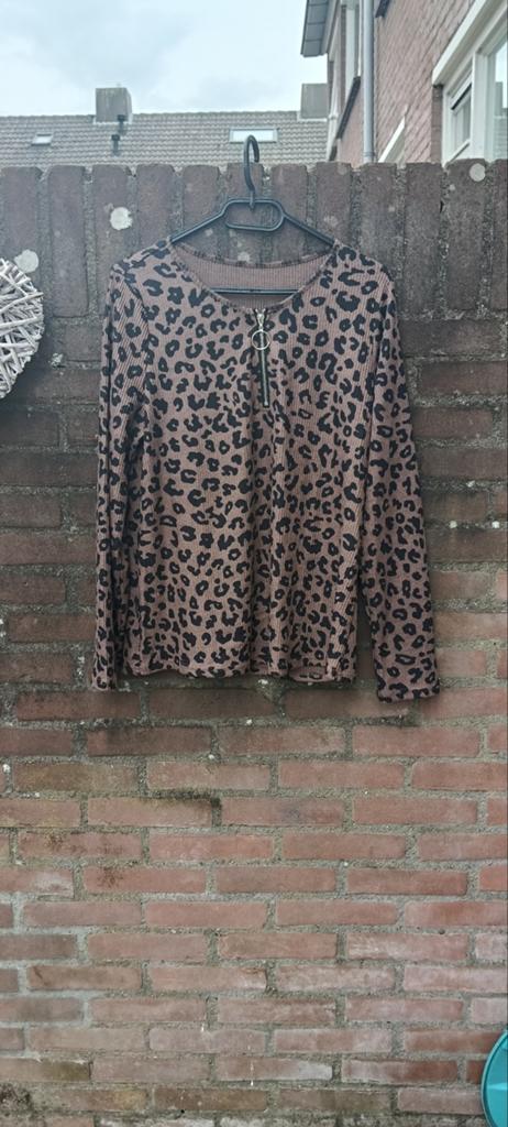 Dames Leopardprint longsleeve - Maat L, Kleding | Dames, T-shirts, Bruin, Maat 42/44 (L), Ophalen of Verzenden, Lange mouw