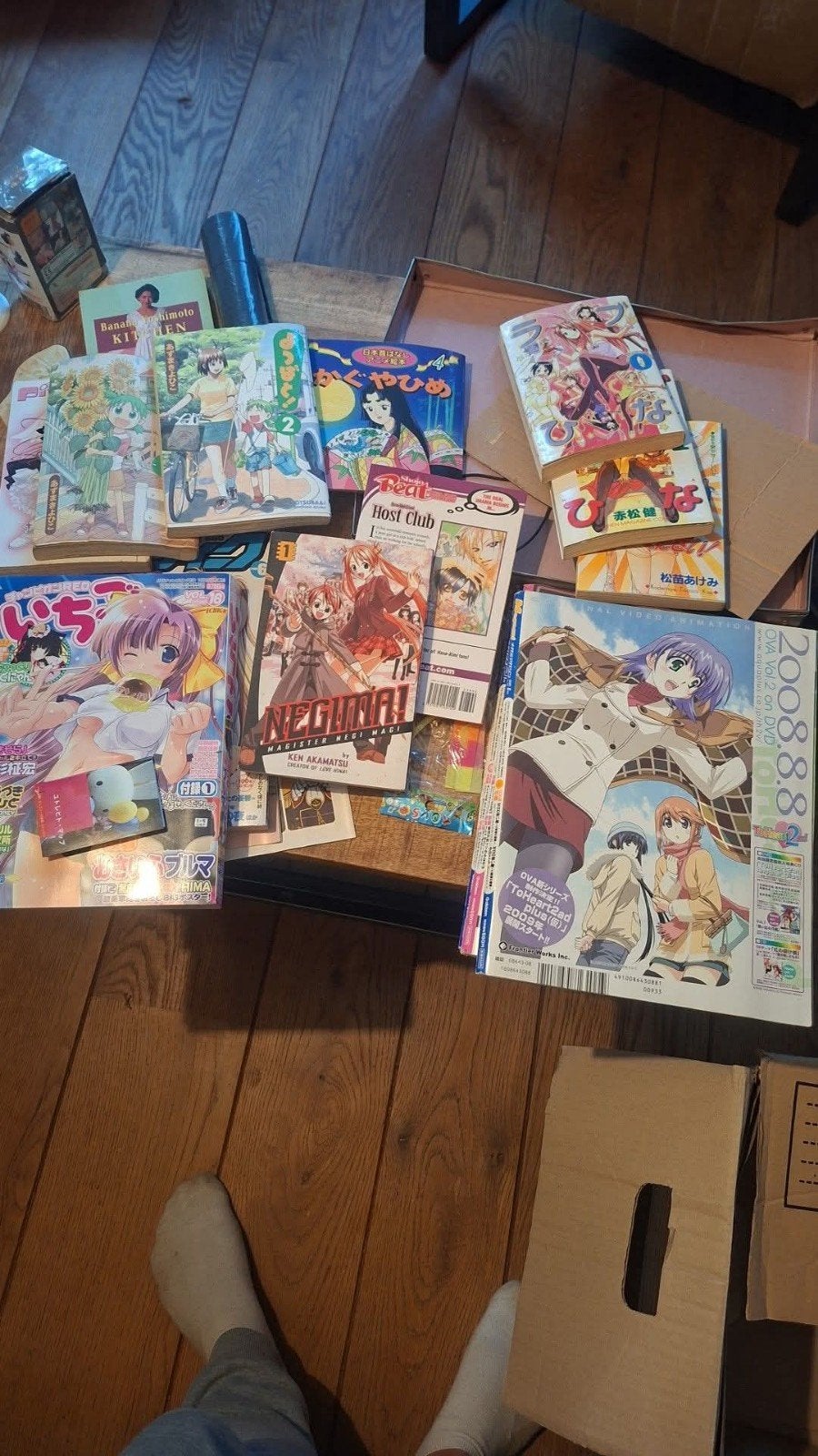 Grote collectie anime, manga en figuren, Ophalen of Verzenden, Gebruikt