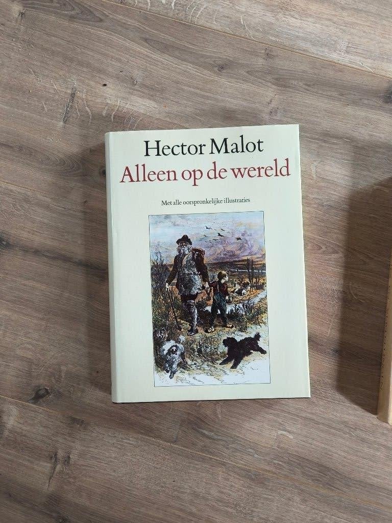 Alleen op de wereld, Ophalen, Zo goed als nieuw, Hector Malot, Fictie