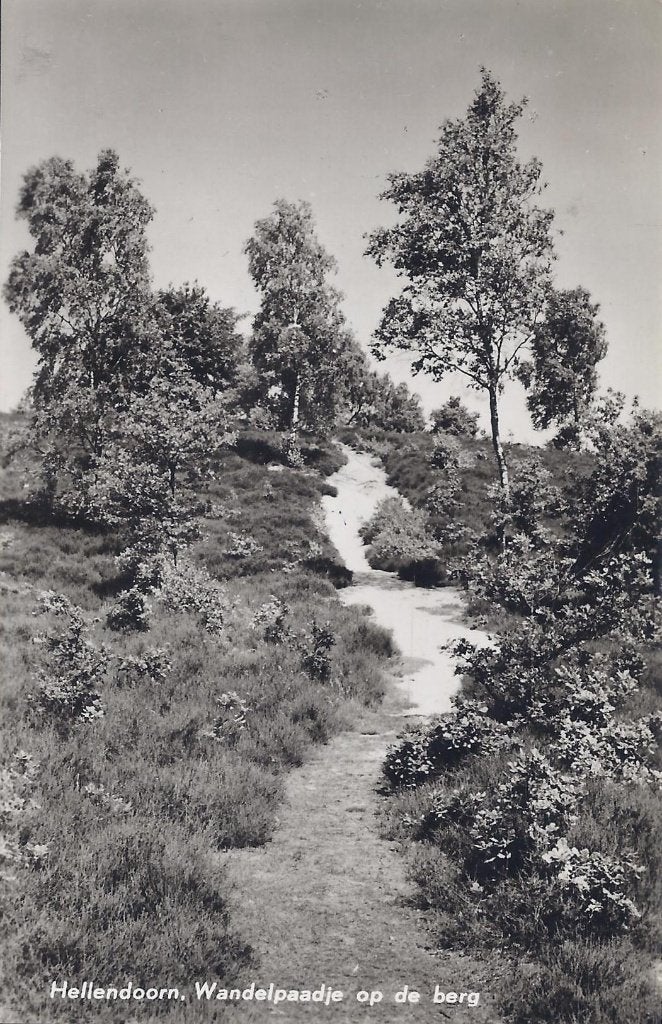 Hellendoorn Wandelpaadje Oude Gelopen Ansichtkaart B1103, Ophalen of Verzenden, 1960 tot 1980, Gelopen, Overijssel