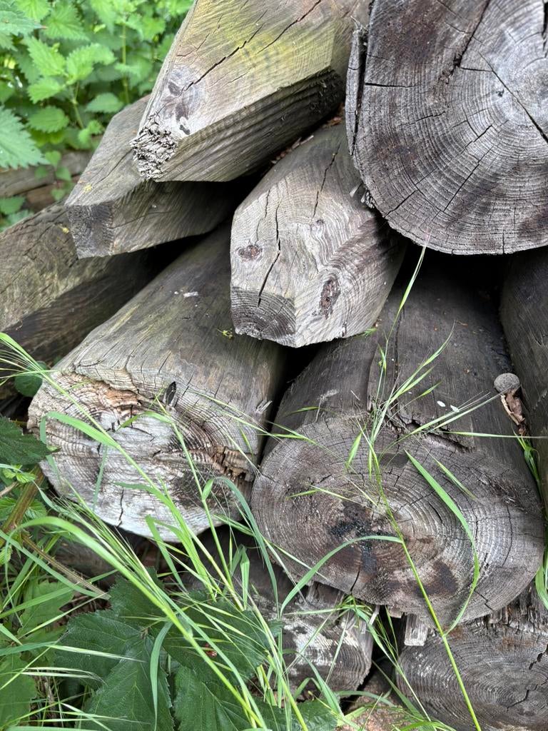 Grote wei palen  per stuk €1.50    22 centimeter diameter, Tuin en Terras, Palen, Balken en Planken, Ophalen, 250 cm of meer, Palen