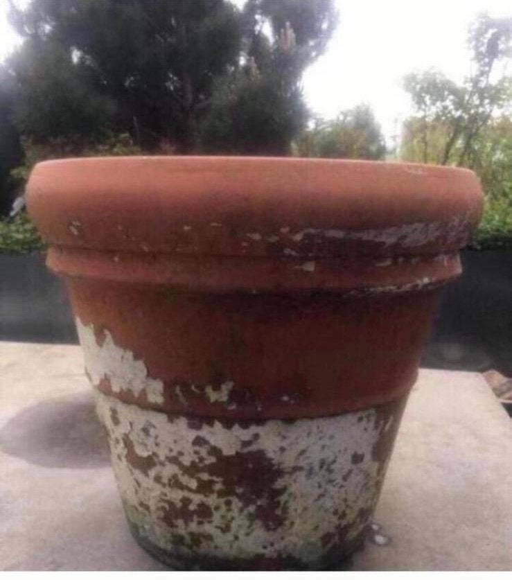 Grote terracotta bloempot met een diameter van 47cm, Tuin en Terras, Ophalen, Gebruikt, 40 cm of meer, Rond