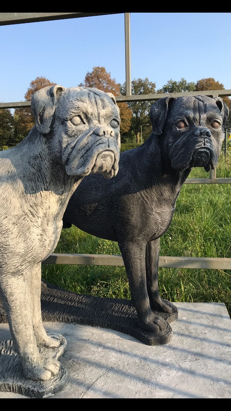 Duitse boxer 120 kg molosser stenenbeeld van een reu buldog, Ophalen of Verzenden, Nieuw, Beton, Dierenbeeld