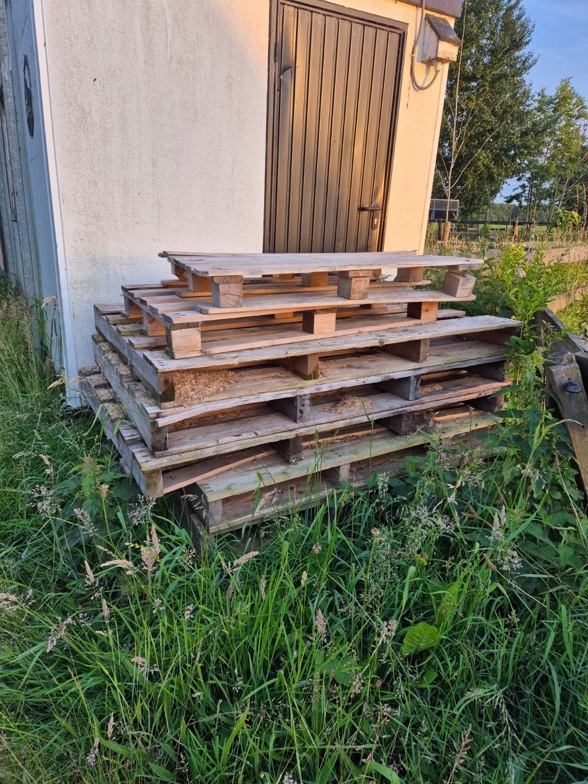 Gratis pallets pellets, Ophalen of Verzenden, 50 mm of meer, Pallet, Minder dan 200 cm