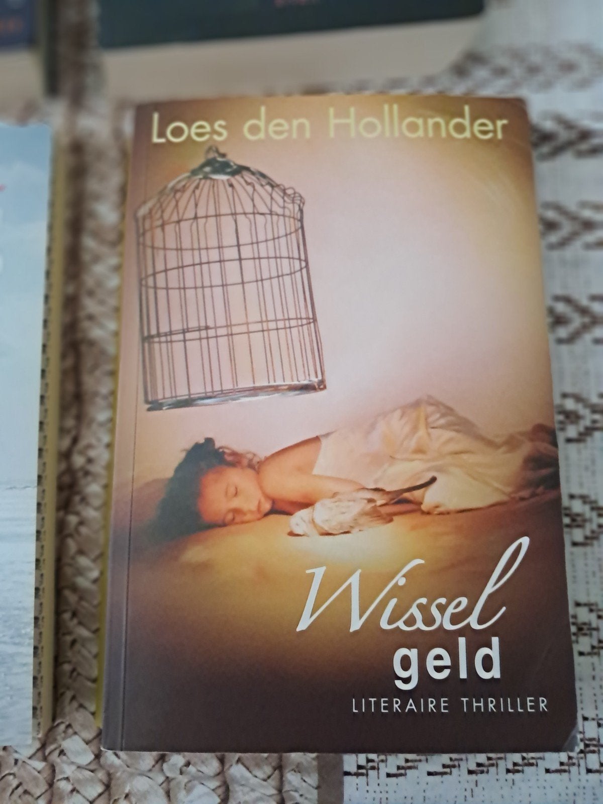 Diverse thrillers van Loes den Hollander, Ophalen of Verzenden, Gelezen, Loes den Hollander, Nederland