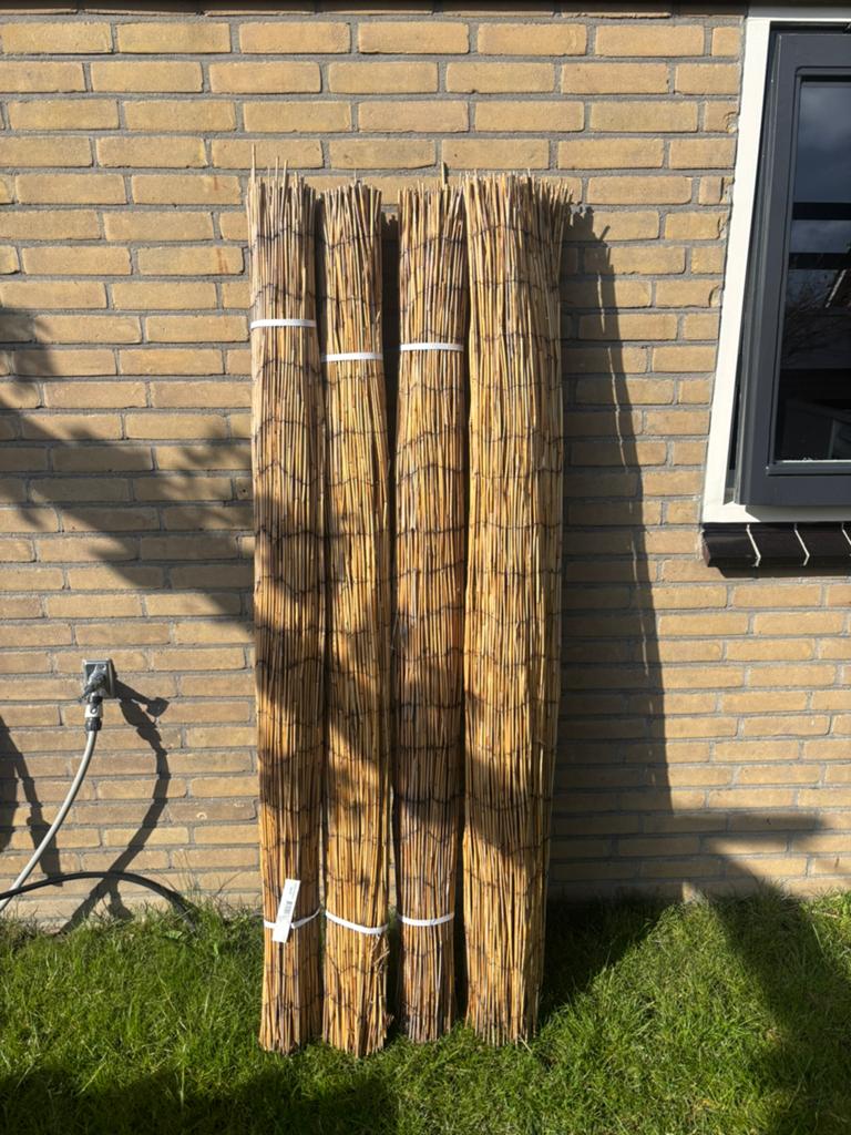 Rietmatten 4 stuks, Ophalen, 1 tot 2 meter, Minder dan 3 meter, Nieuw