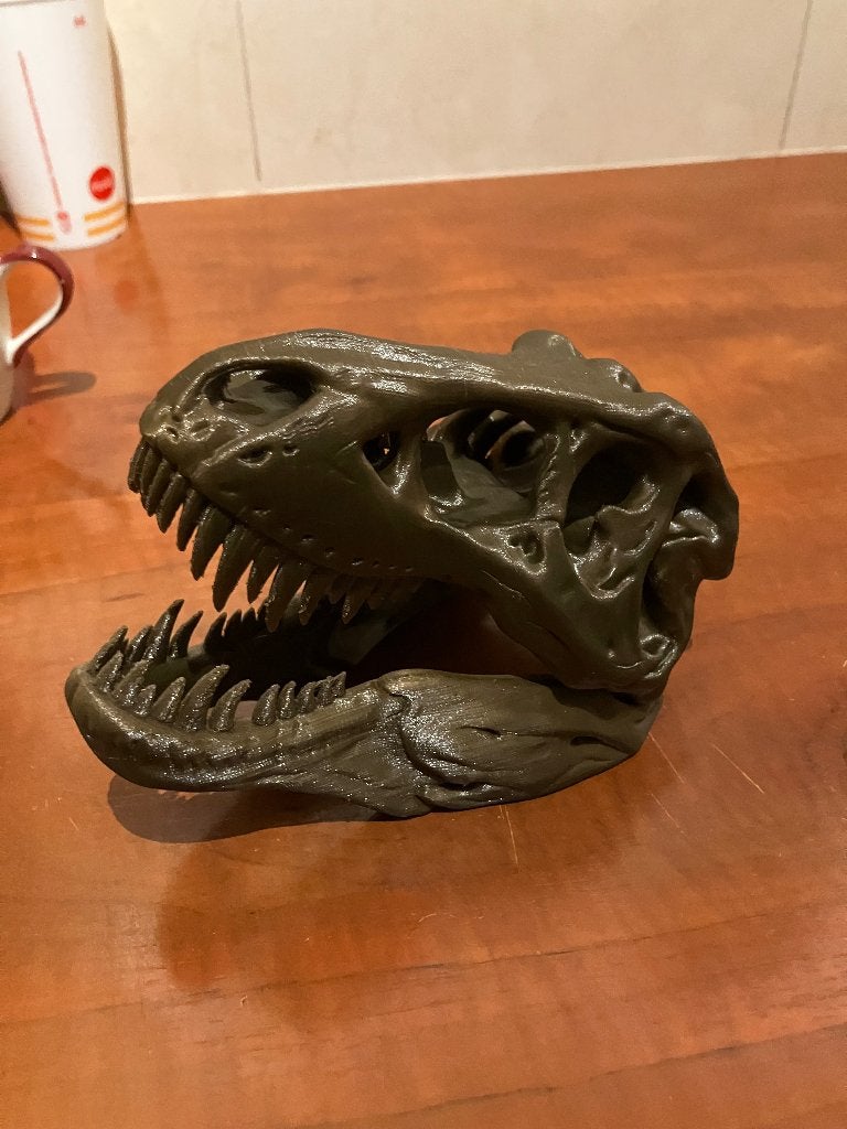 3D geprinte T-Rex schedel, Ophalen, Nieuw, Kunststof, Overige stijlen