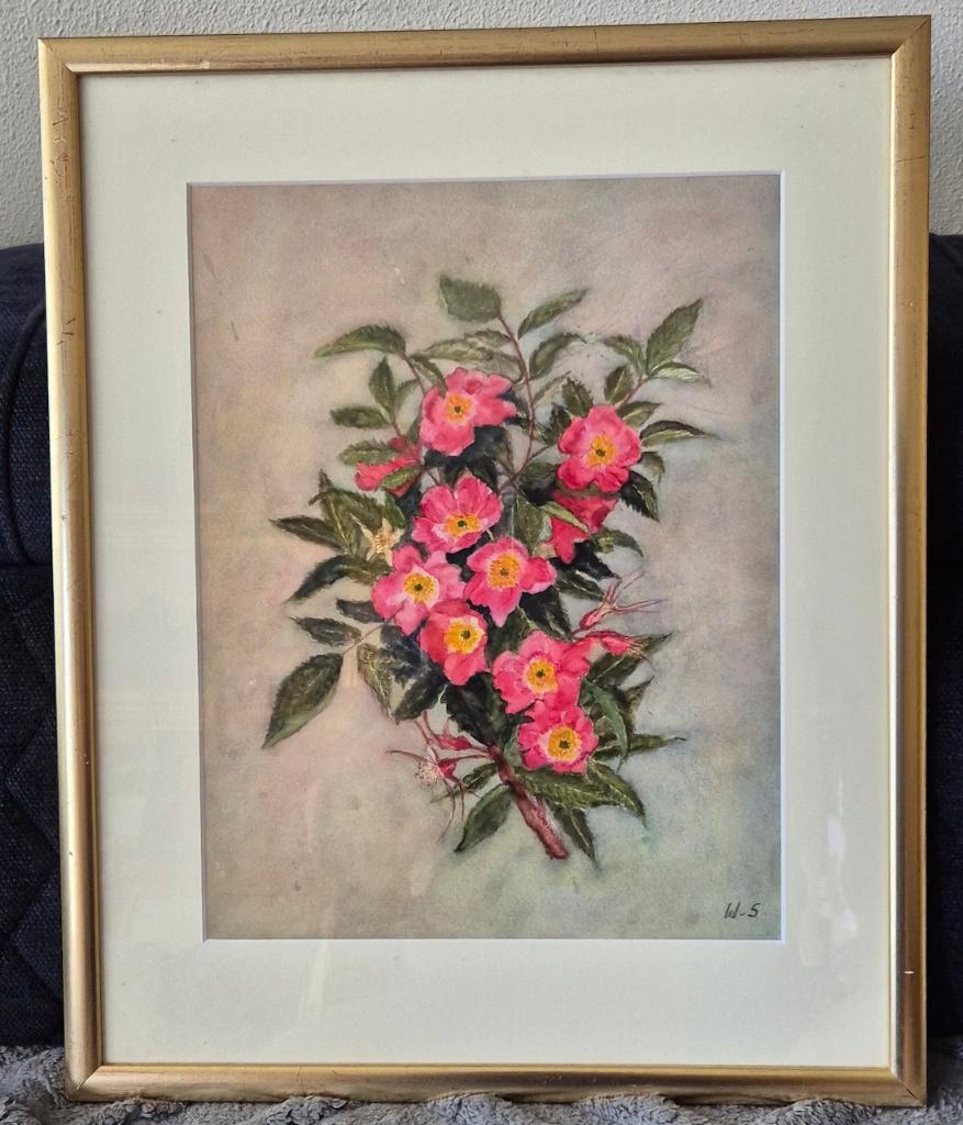 Wilhelmina Arnoldina (“Mien”) Snethlage, 1890-1982., Ophalen of Verzenden