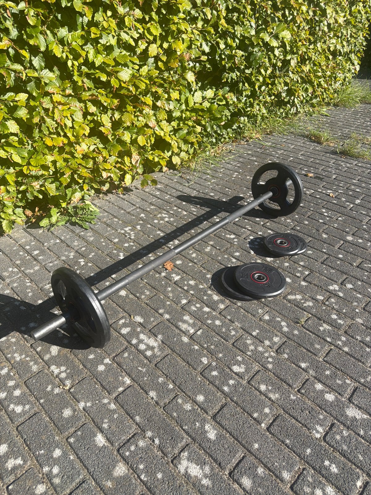 Domyos Halterset met schijven (5kg, 2.5kg, 1.25kg), Ophalen of Verzenden, Gebruikt, Armen, Halterset