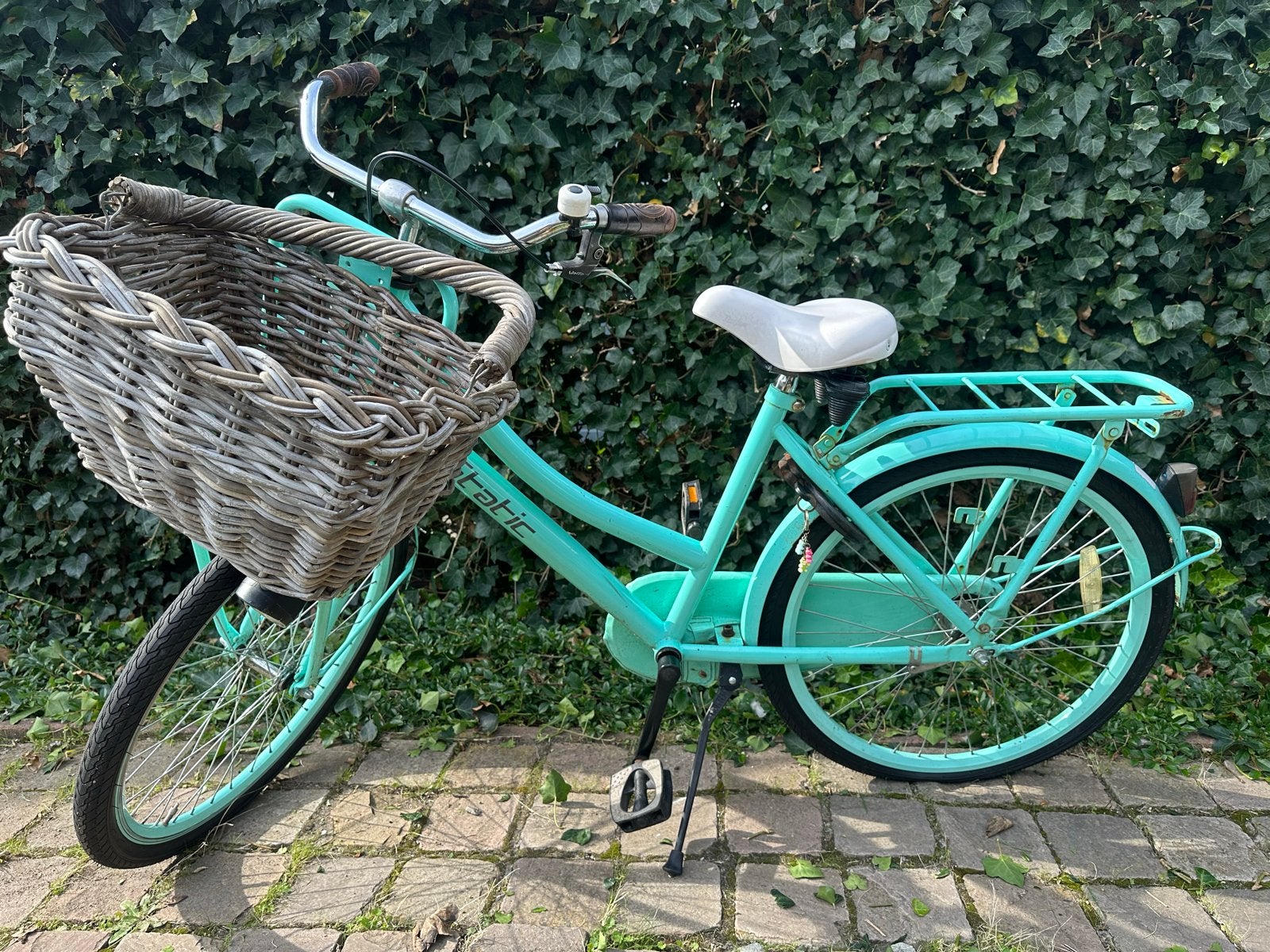 Static meisjes fiets 24 inch met mand -**opknapper**!, Fietsen en Brommers, Ophalen, Terugtraprem, Handrem, Gebruikt
