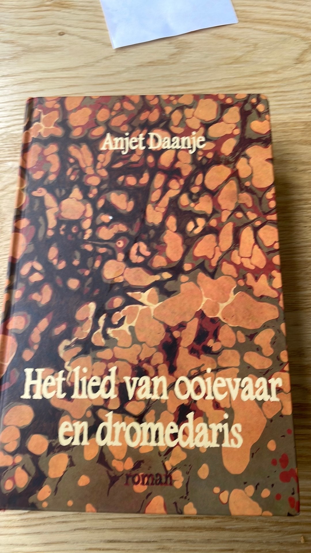 Anjet Daanje - Het lied van ooievaar en dromedaris, Boeken, Ophalen of Verzenden, Zo goed als nieuw, Anjet Daanje