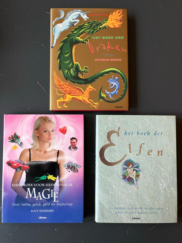 Handboek voor Hedendaagse Magie, Draken en Elfen Boeken, Boeken, Ophalen of Verzenden, Zo goed als nieuw, Spiritualiteit algemeen