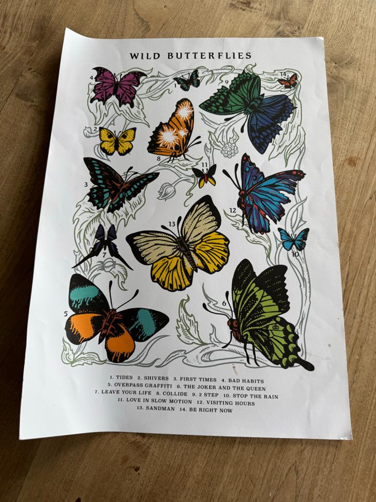 Ed Sheeran Tour 2022 Poster - Wild Butterflies, Rechthoekig Staand, Ophalen of Verzenden, Zo goed als nieuw, A1 t/m A3