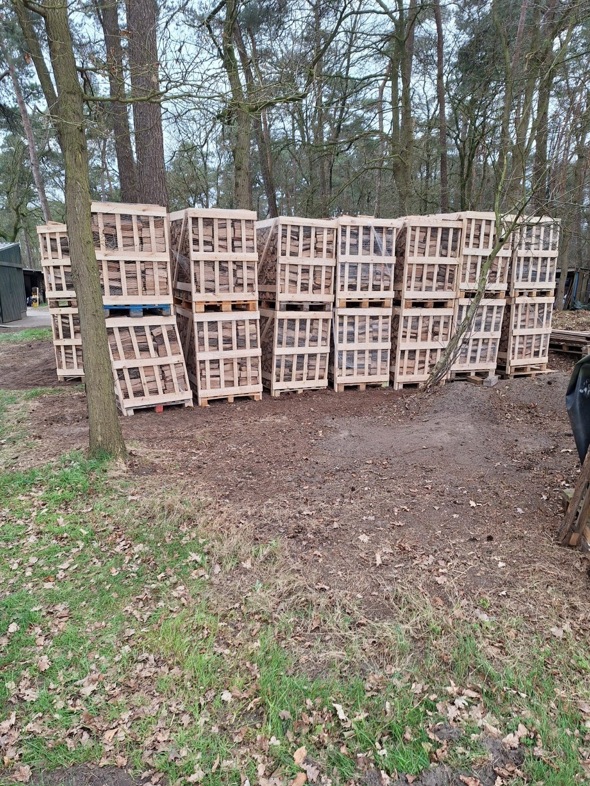 Droog eiken, beuk en mix brandhout, Tuin en Terras, Haardhout, 6 m³ of meer, Ophalen