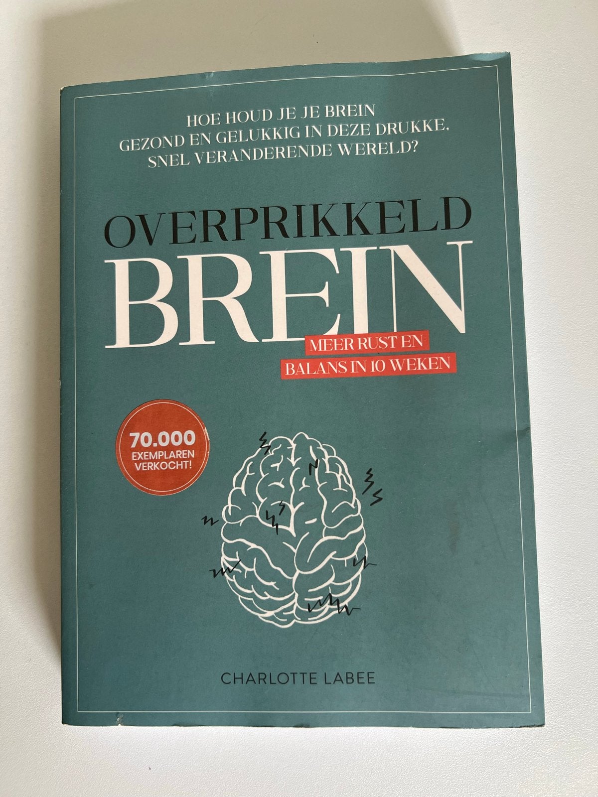 Overprikkeld Brein - Meer rust en balans in 10 weken, Ophalen of Verzenden, Zo goed als nieuw, Gezondheid en Conditie