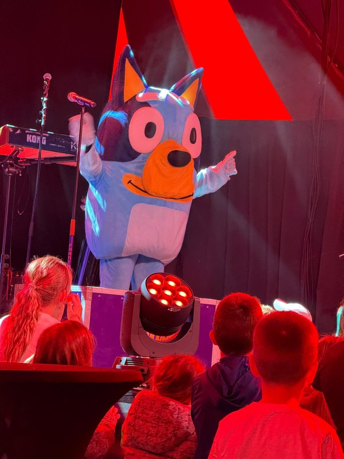 Bluey Mascotte Pak Huren of Kopen - Kinderfeestjes & Events, Ophalen of Verzenden