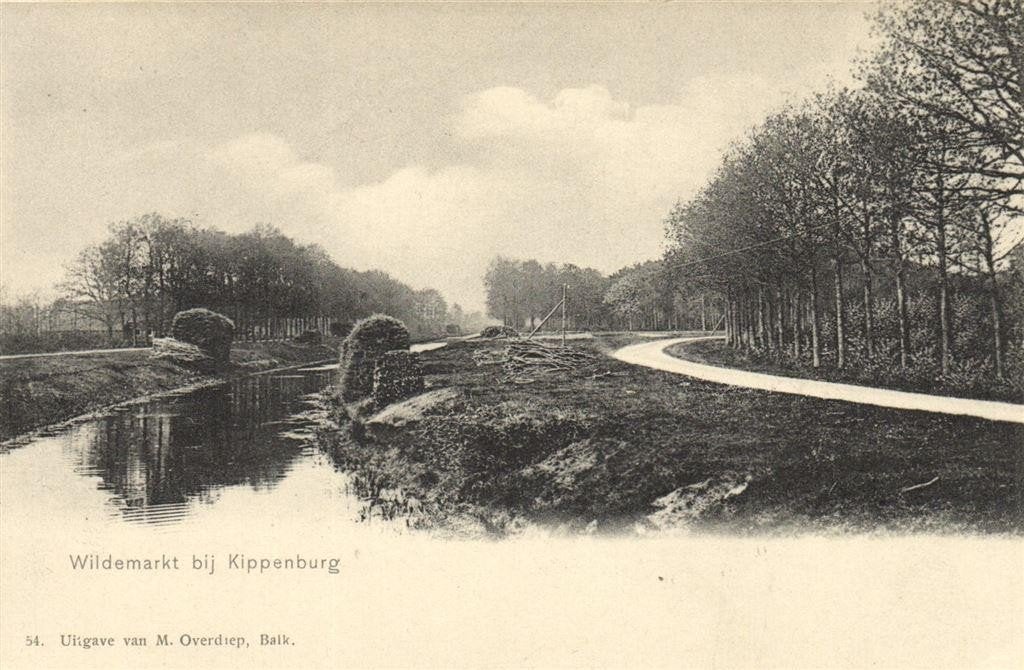 Wildemarkt bij Kippenburg - rivier - ongelopen, Verzenden, Voor 1920, Ongelopen, Noord-Brabant