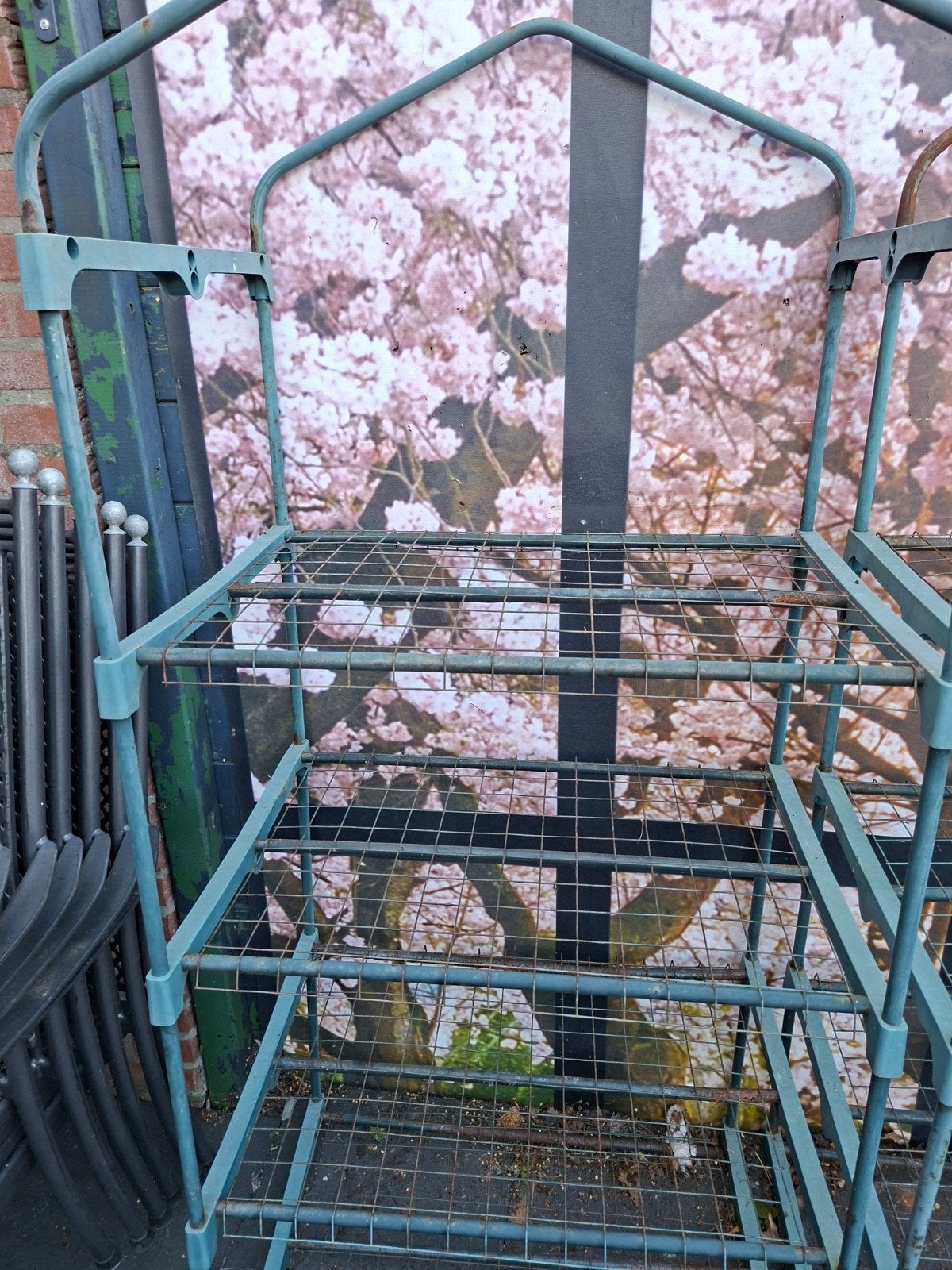 Stelling plantenkas - Ideaal voor zaailingen en planten, Gebruikt, Folie, Kweekkas, Ophalen