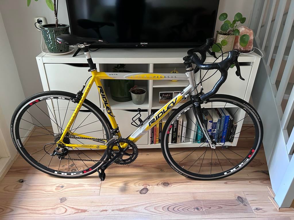 Ridley Pegasus (race)fiets, 28 inch, Gebruikt, Aluminium, 15 tot 20 versnellingen