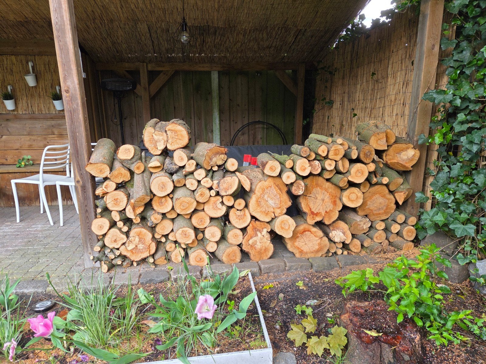 Circa 1 kuub pruimen hout, Tuin en Terras, Haardhout, Minder dan 3 m³, Ophalen