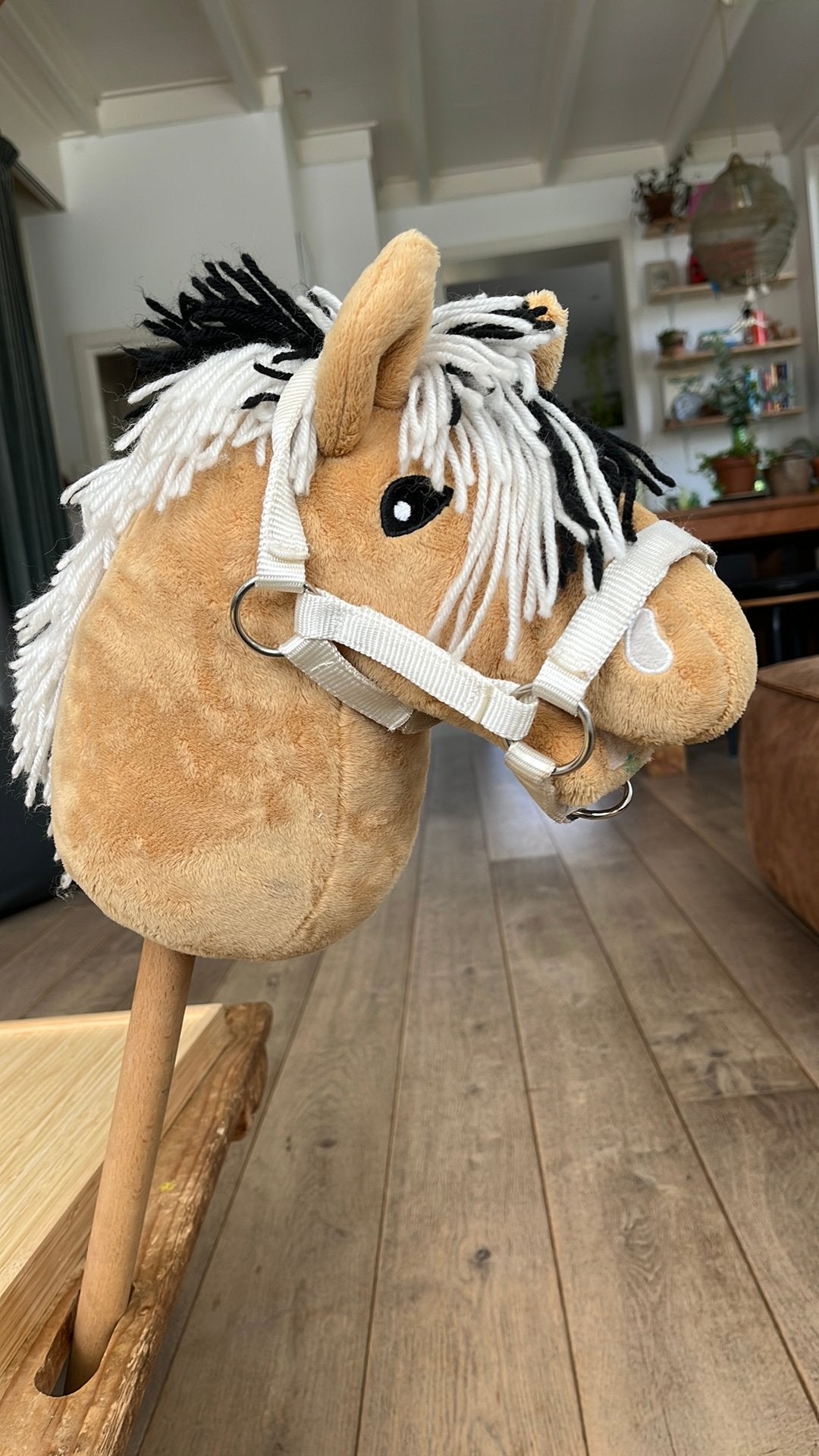 Leuk Hobbyhorse halster, Ophalen of Verzenden, Zo goed als nieuw
