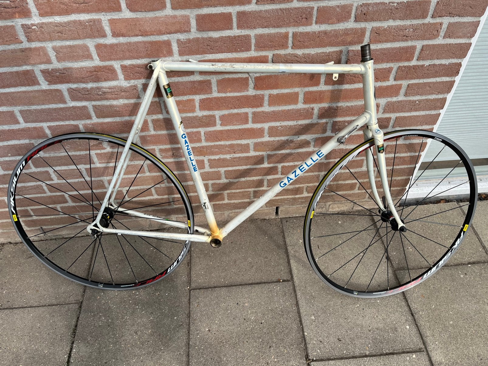 Gazelle frame met wielen, 59 cm of meer, Ophalen