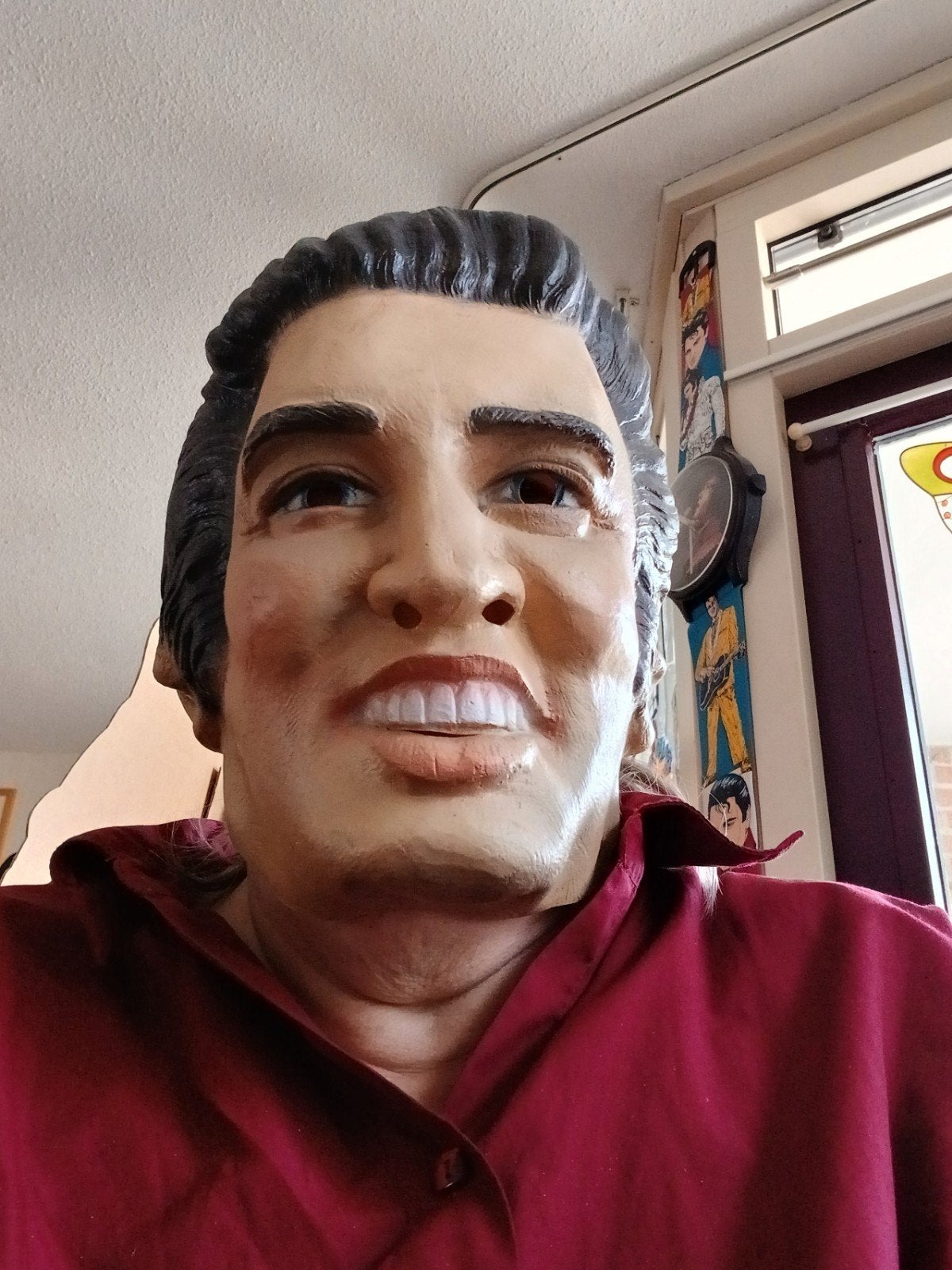 Elvis masker - Word de King of Rock 'n' Roll!, Ophalen of Verzenden, Gebruikt, Feestartikel, Carnaval
