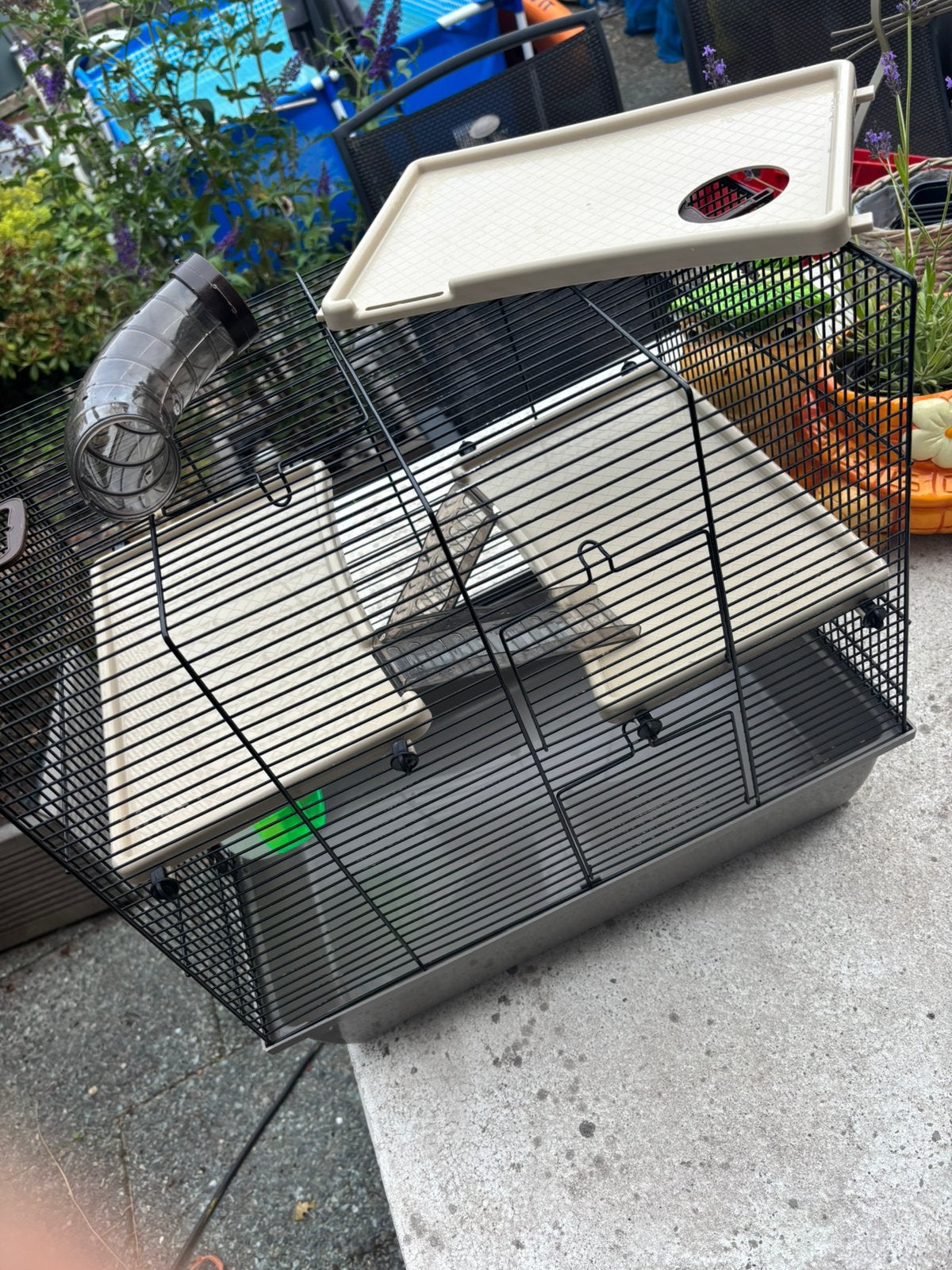 Knaagdieren hok, Gebruikt, Minder dan 75 cm, Muis, Hok
