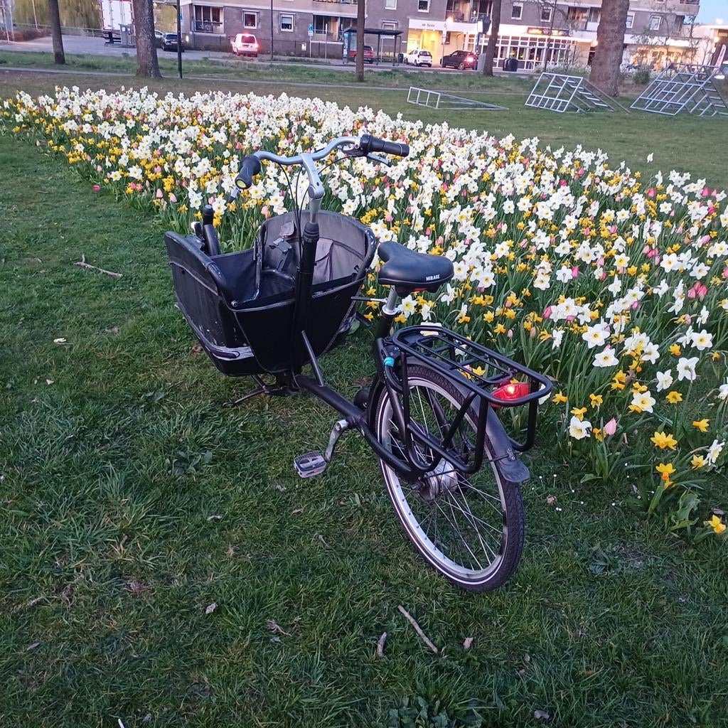 Bakfiets met 2 zitplaatsen - Ideaal voor gezinnen, Ophalen of Verzenden