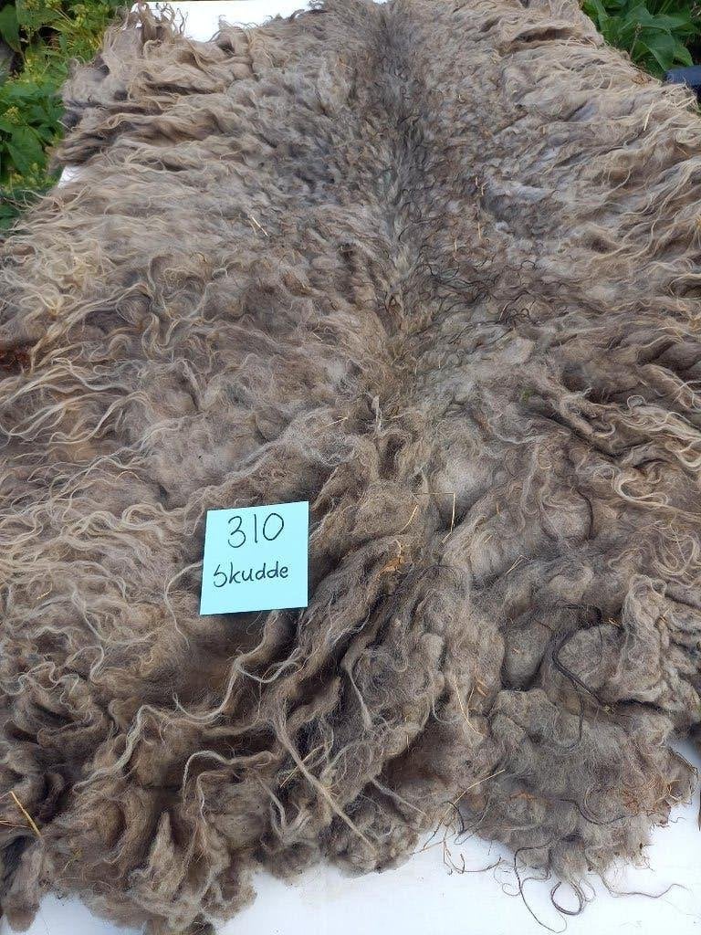 nr 310 Geschoren vacht van een Skudde schaap, Ophalen of Verzenden, Gebruikt