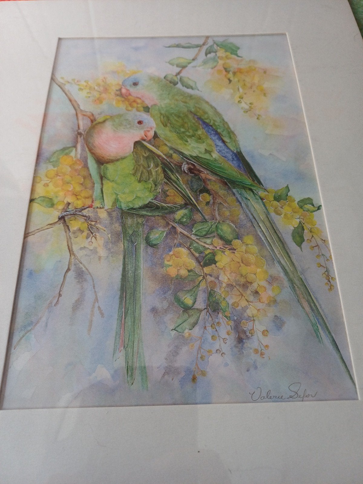 G6 Prinses Papegaai Aquarel door Valerie Sefer, Ophalen of Verzenden, Schilderij, Aquarel, Gesigneerd