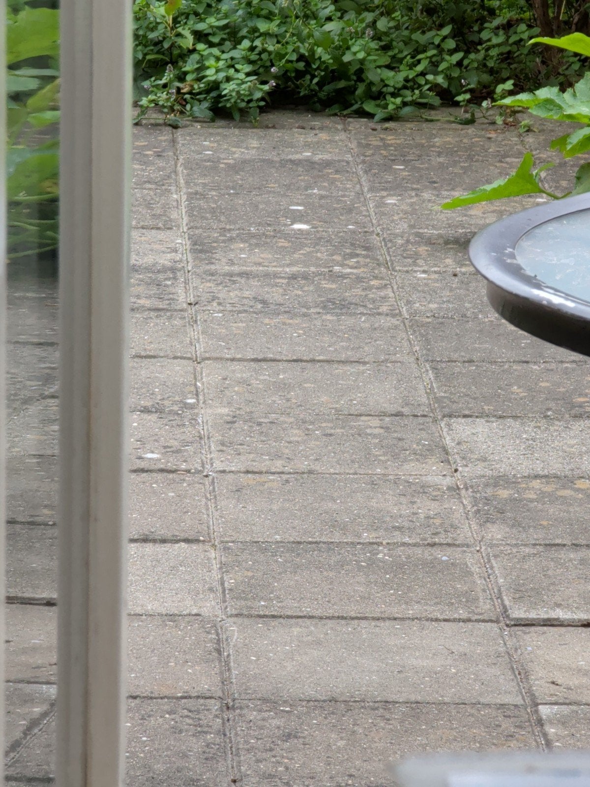 Gratis gebruikte betontegels voor terras of pad, Tuin en Terras, Gebruikt, Ophalen of Verzenden, 10 m² of meer, Beton