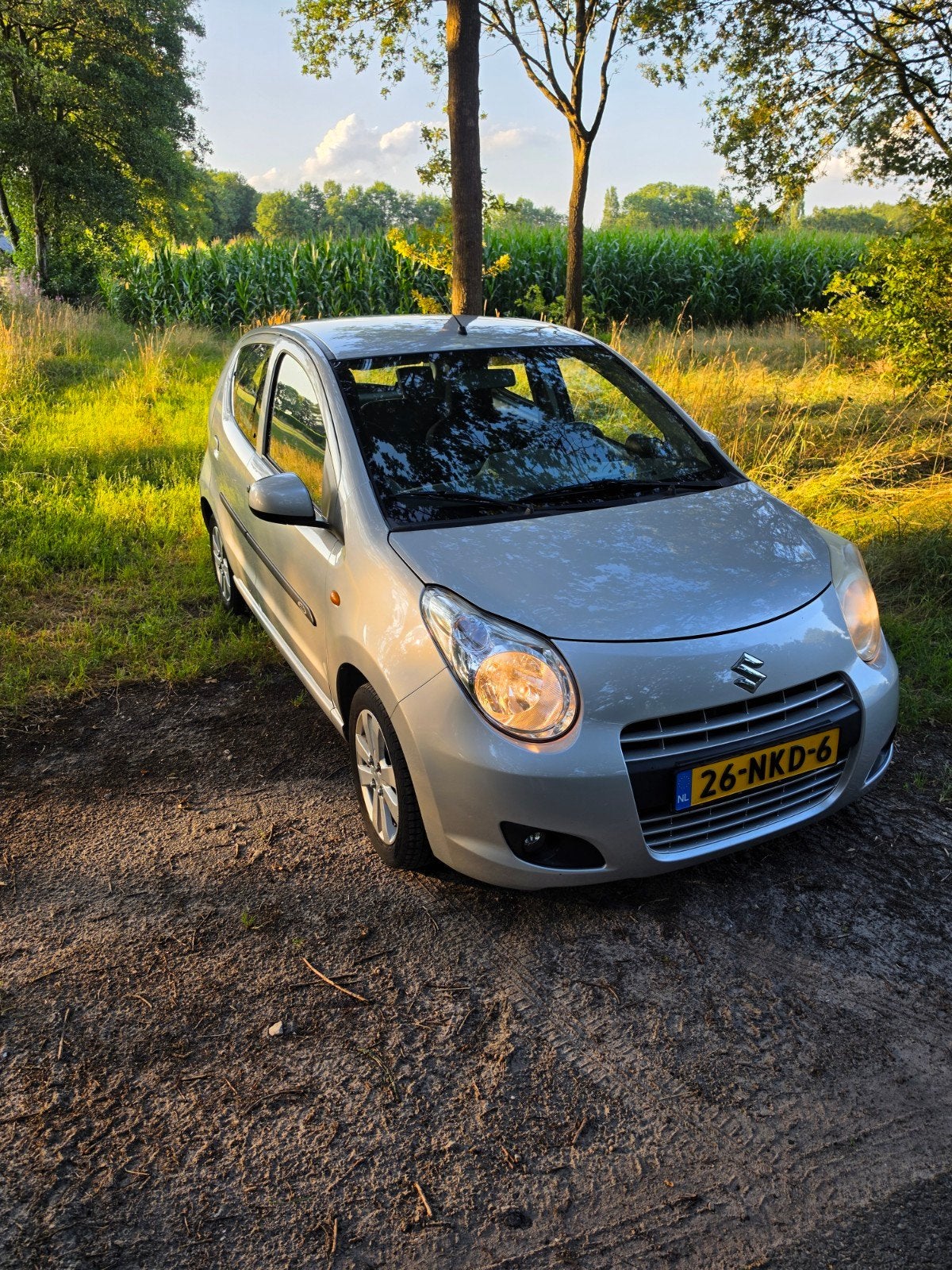 Suzuki Alto 1.0 Aut. 2010 Grijs, Auto's, Stof, 4 stoelen, Origineel Nederlands, 3 cilinders