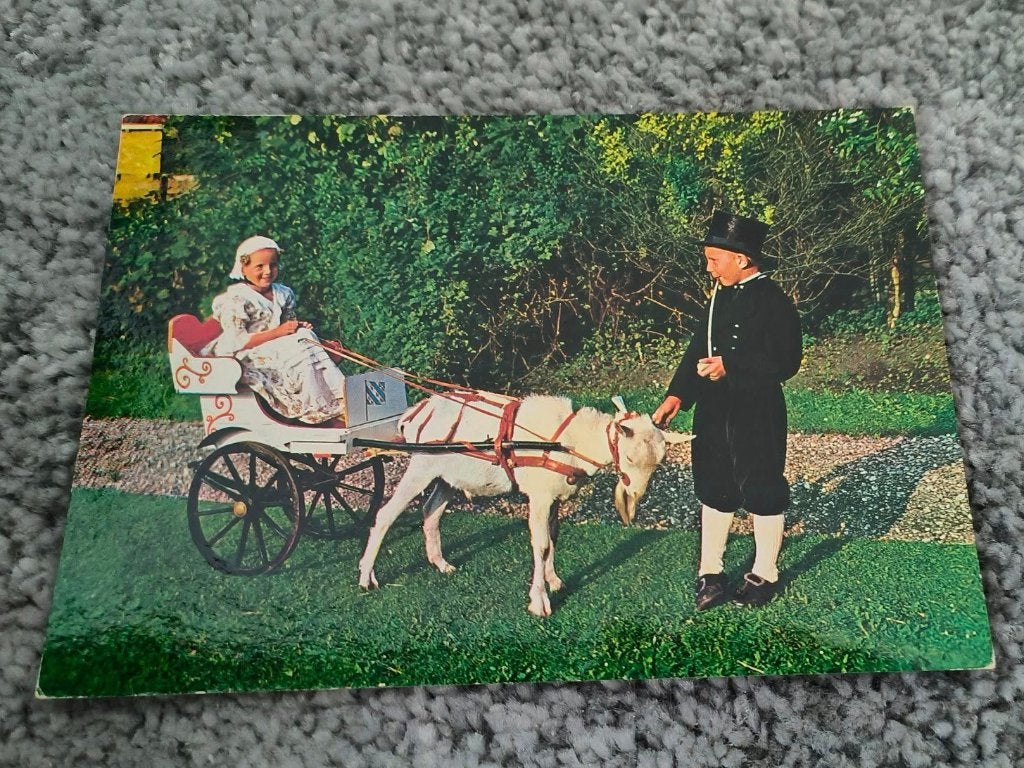 Kaart Friese kinderen klederdracht (50), Ophalen of Verzenden, 1980 tot heden, Gelopen, Klederdracht