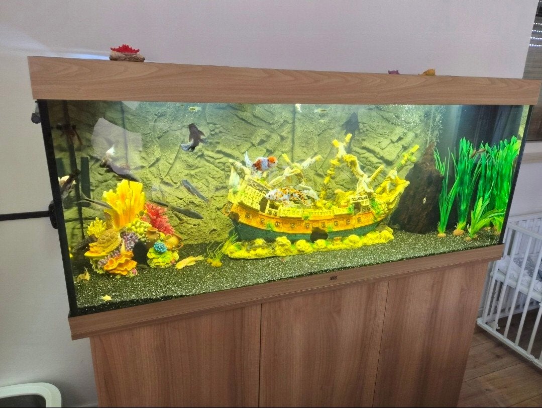 groot nieuwstaat compleet aquarium, Dieren en Toebehoren, Ophalen